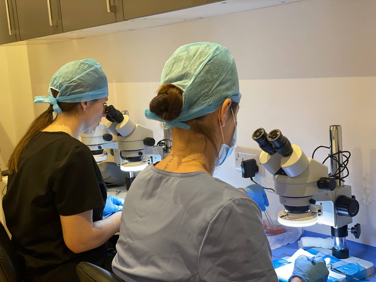 About Us One Medical Hair Transplant Clinic